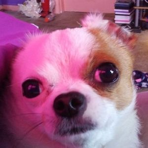 Meet your Posher, Maya